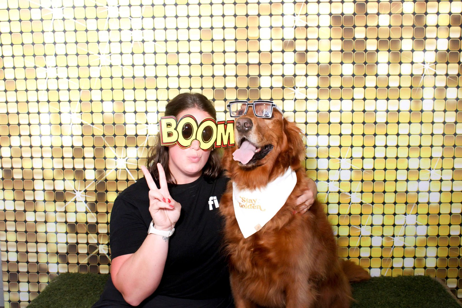 Two Shepherds corporate event